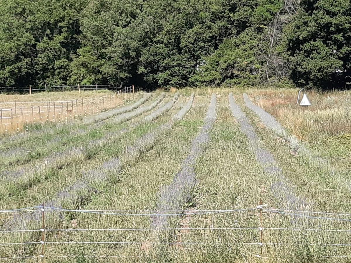 La Ferme De Manon Appartamento